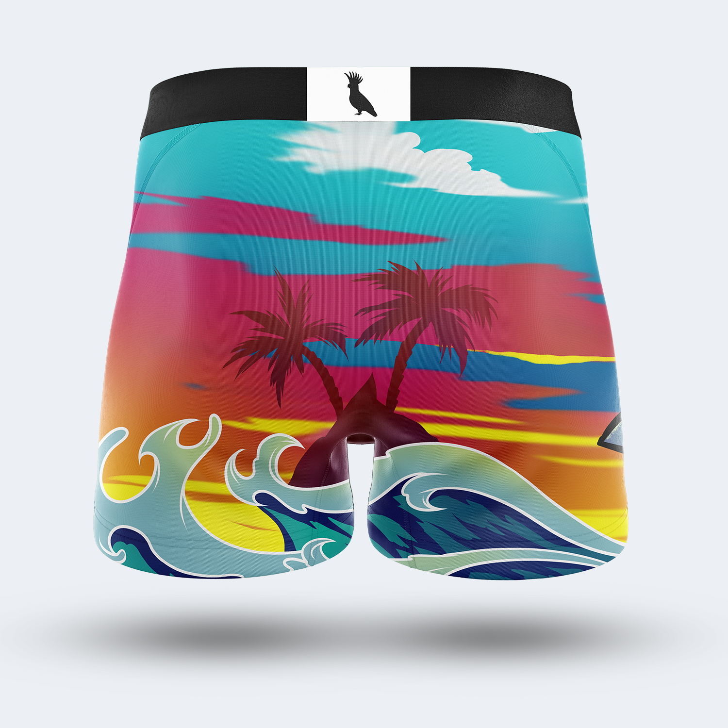 sharkbait-back